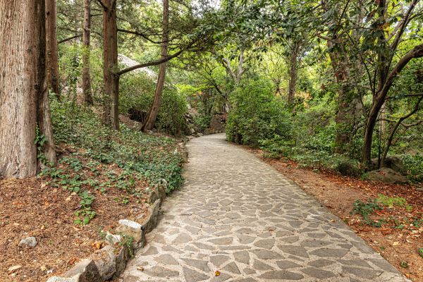 Stone Walkway Repair in Livonia