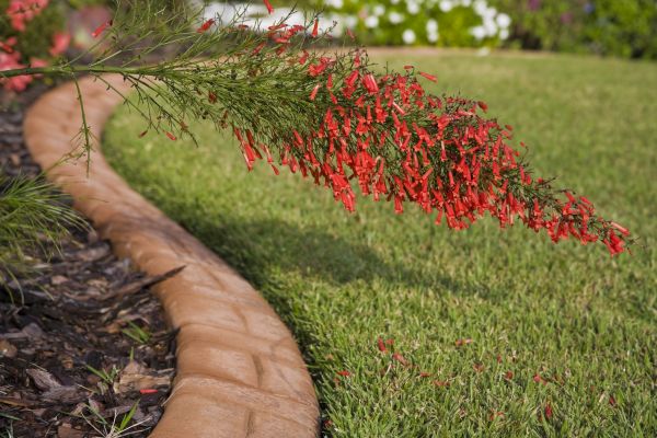 Brick Edging in Livonia