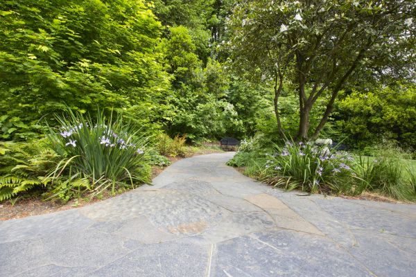 Stone Hardscape Service in Livonia
