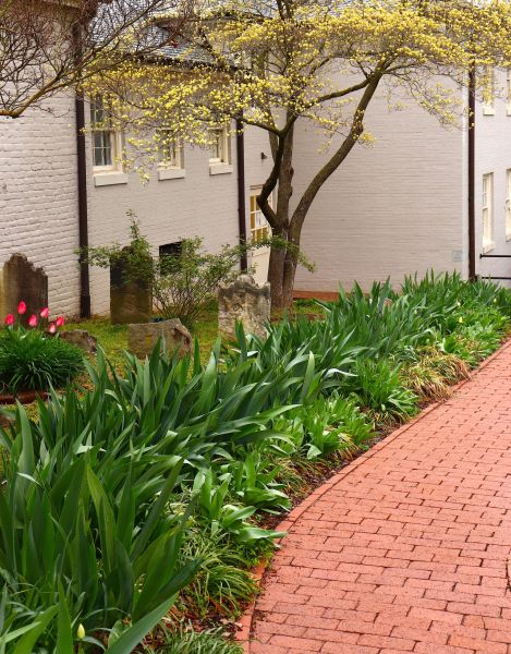 Brick Flatwork Repair in Livonia